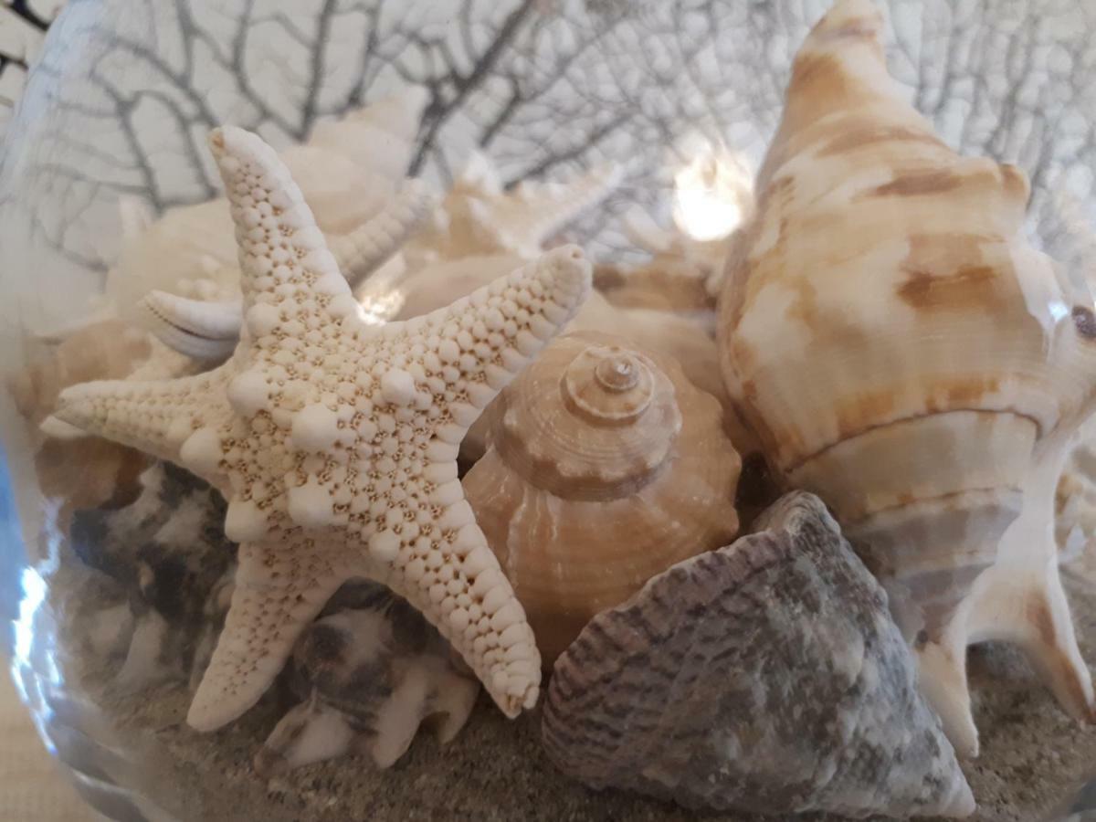 La Casa Delle Conchiglie Villa Villasimius Bagian luar foto